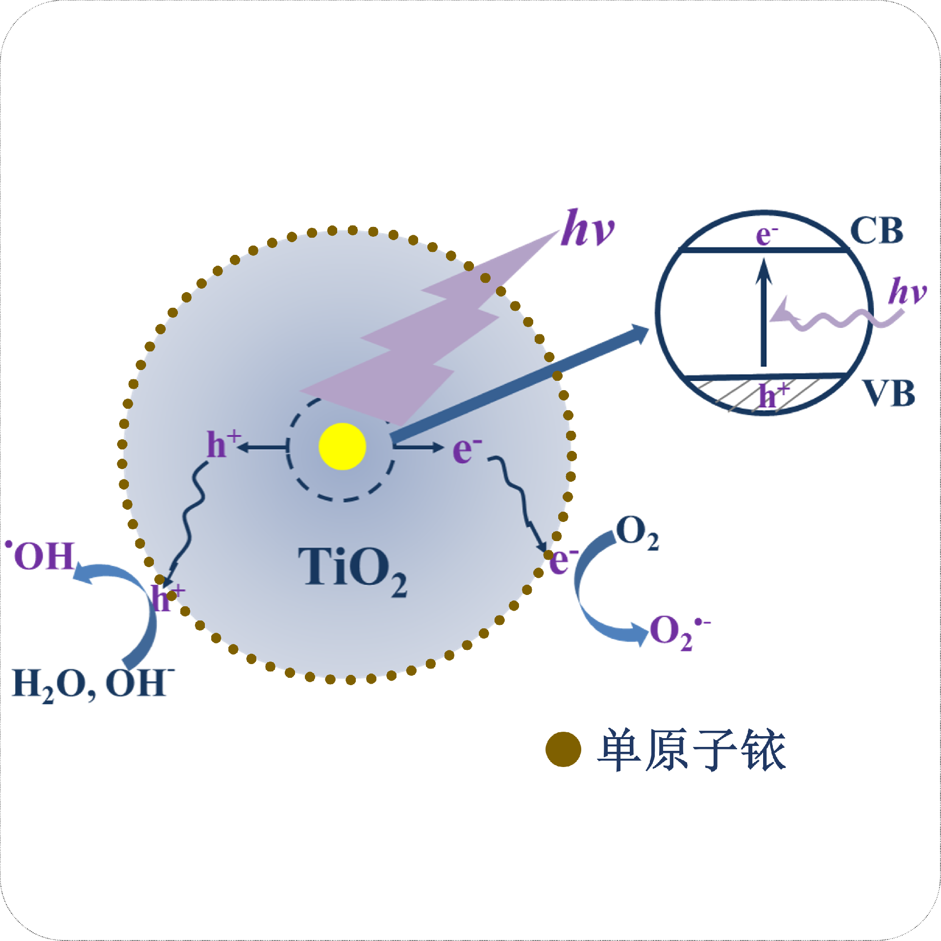 Single-atom iridium photocatalyst (1:100 concentrate)